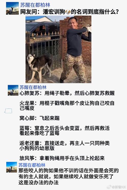 澳门香港 第6页