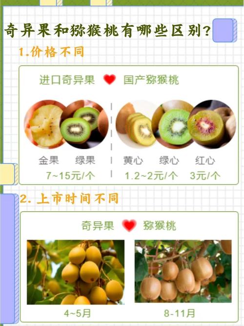 进口水果价格跳水,进口水果的价格